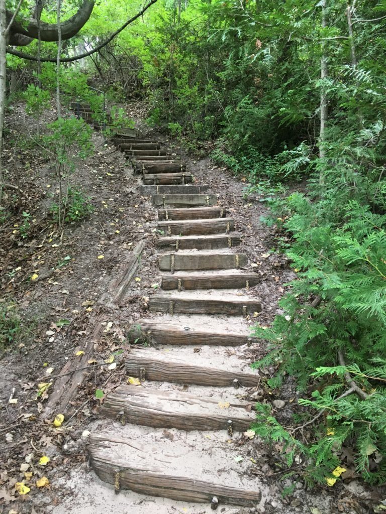 stairs in nature