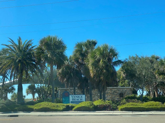 A palm trees and a sign

Description automatically generated