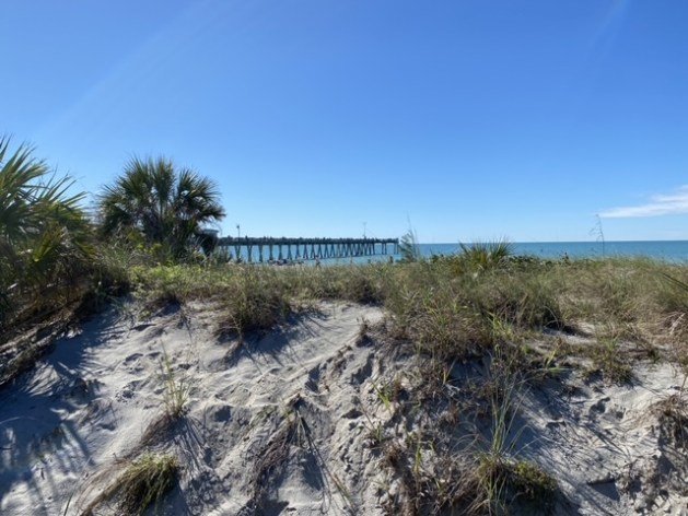 A sandy beach with a pier in the background

Description automatically generated