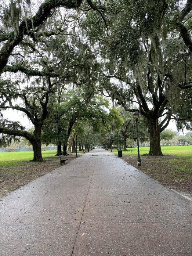 A sidewalk with trees and grass

Description automatically generated